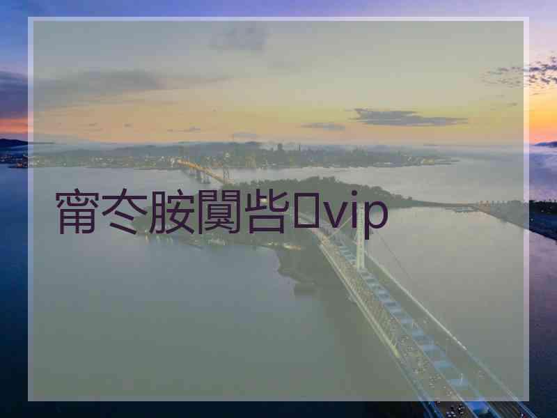 甯冭胺闃呰vip