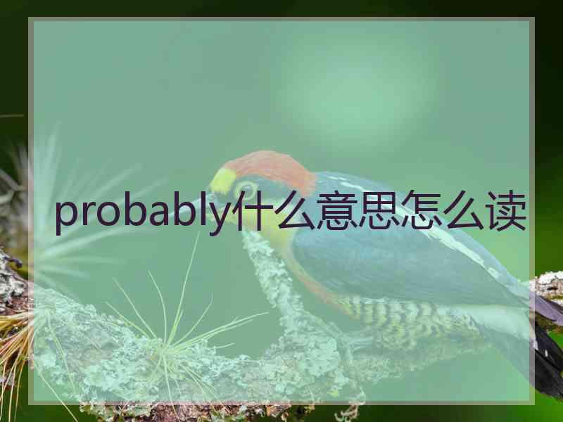 probably什么意思怎么读