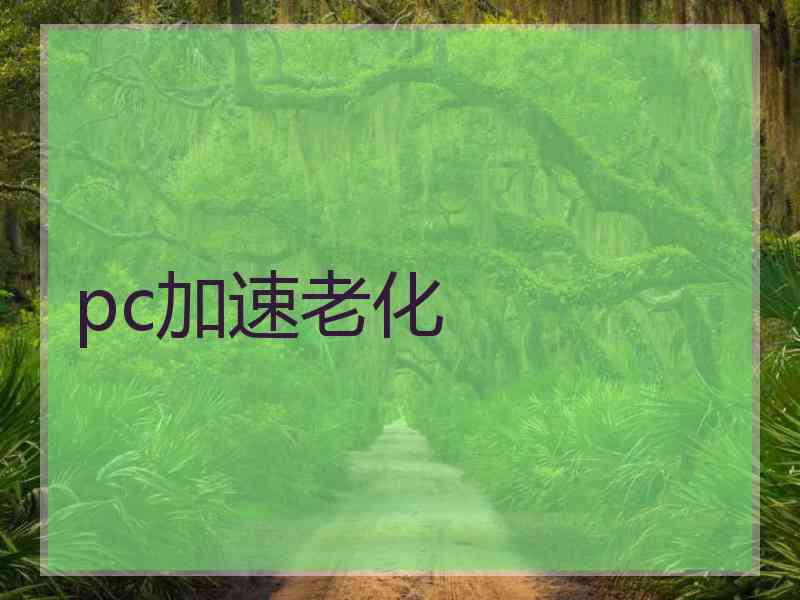 pc加速老化
