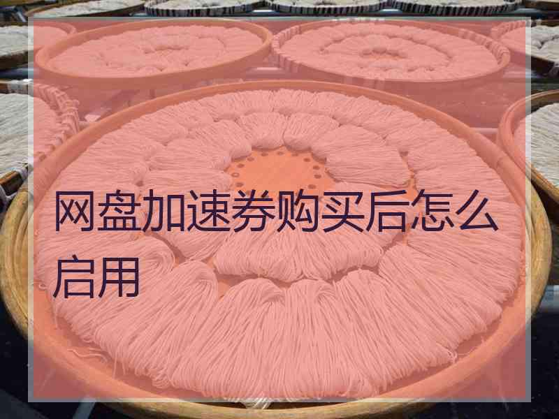 网盘加速券购买后怎么启用
