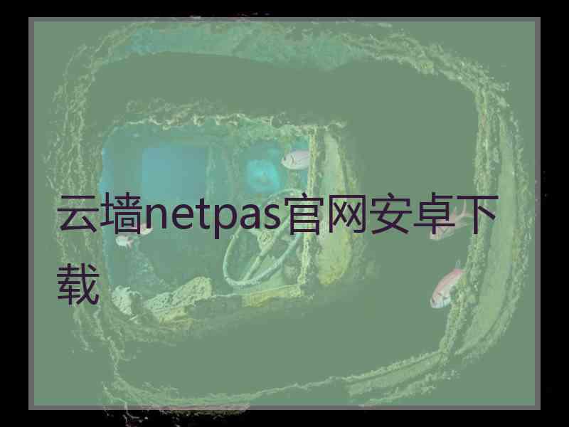 云墙netpas官网安卓下载