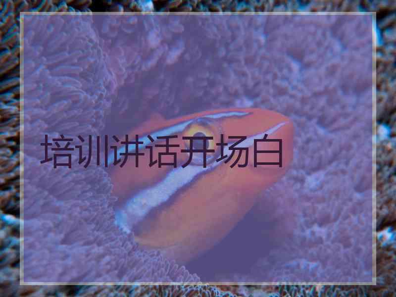 培训讲话开场白