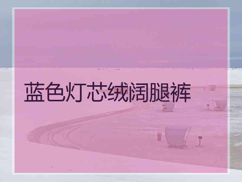 蓝色灯芯绒阔腿裤