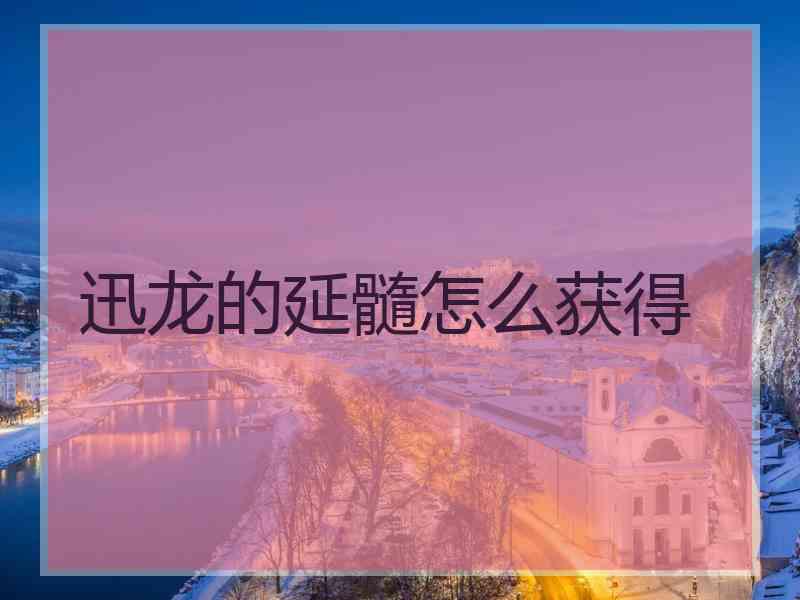 迅龙的延髓怎么获得