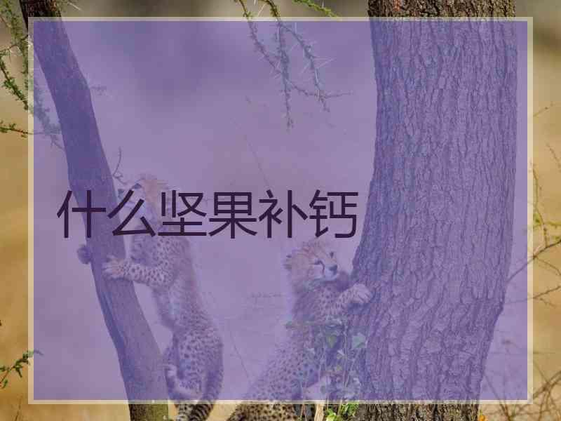 什么坚果补钙