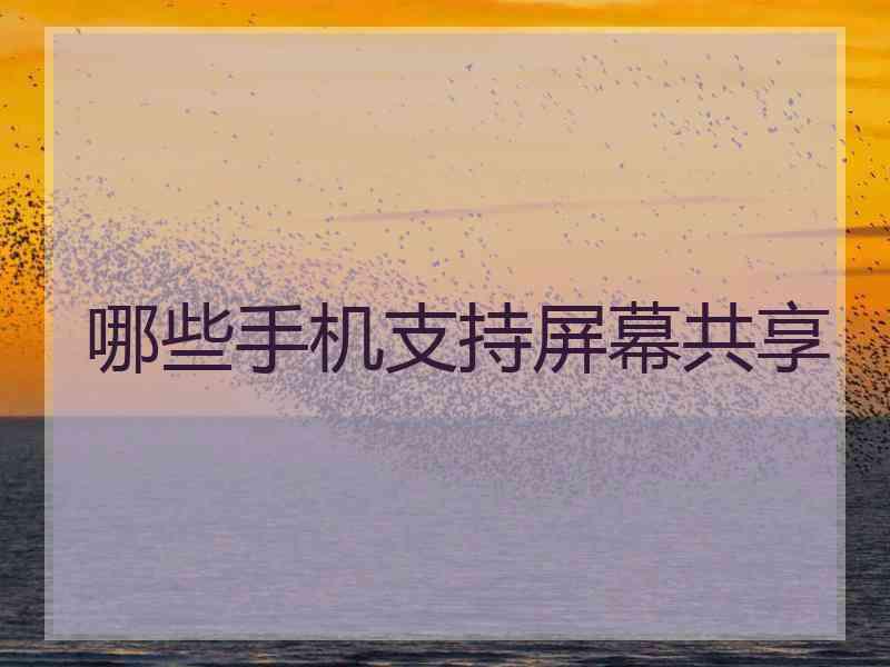 哪些手机支持屏幕共享