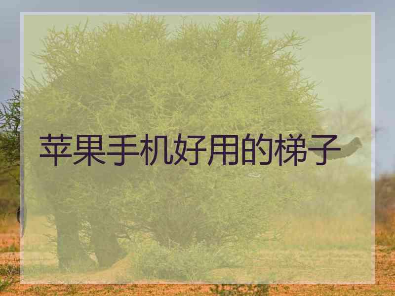 苹果手机好用的梯子