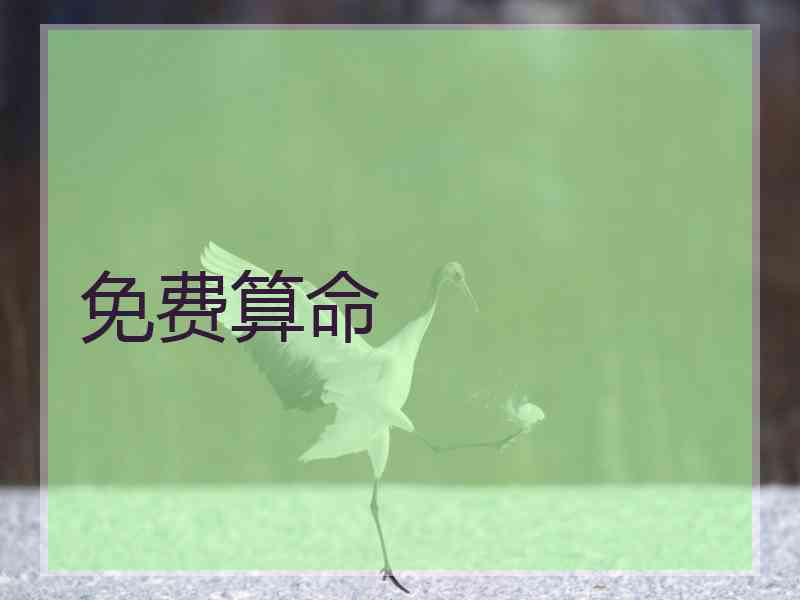 免费算命