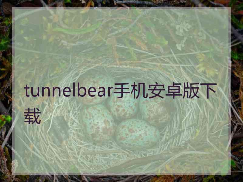 tunnelbear手机安卓版下载