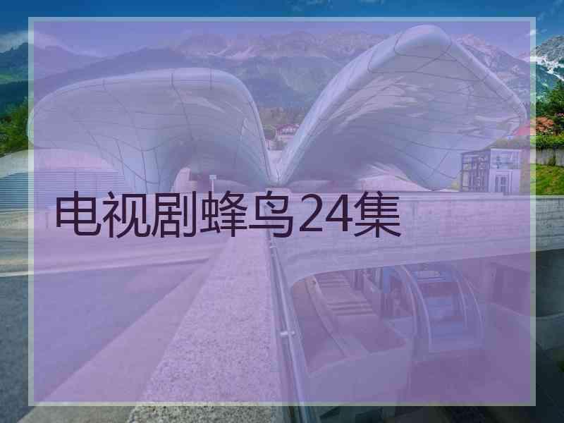 电视剧蜂鸟24集