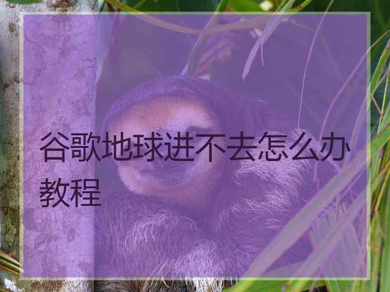 谷歌地球进不去怎么办教程