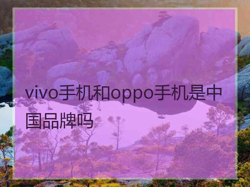 vivo手机和oppo手机是中国品牌吗