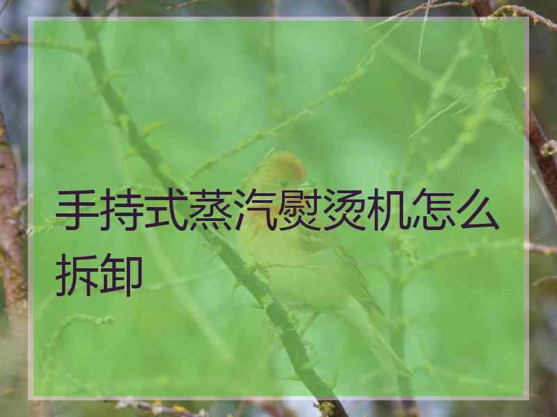 手持式蒸汽熨烫机怎么拆卸
