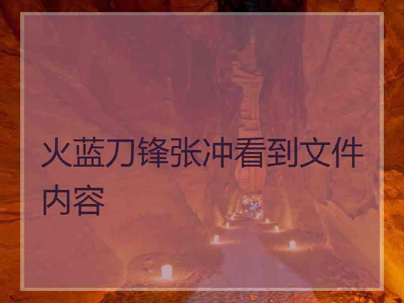 火蓝刀锋张冲看到文件内容