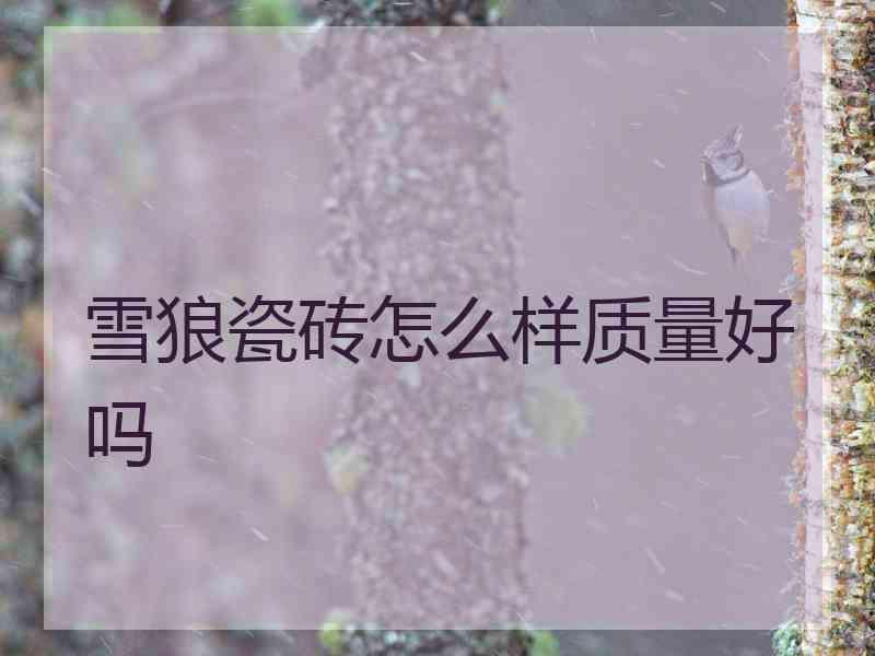 雪狼瓷砖怎么样质量好吗