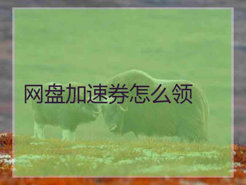 网盘加速券怎么领