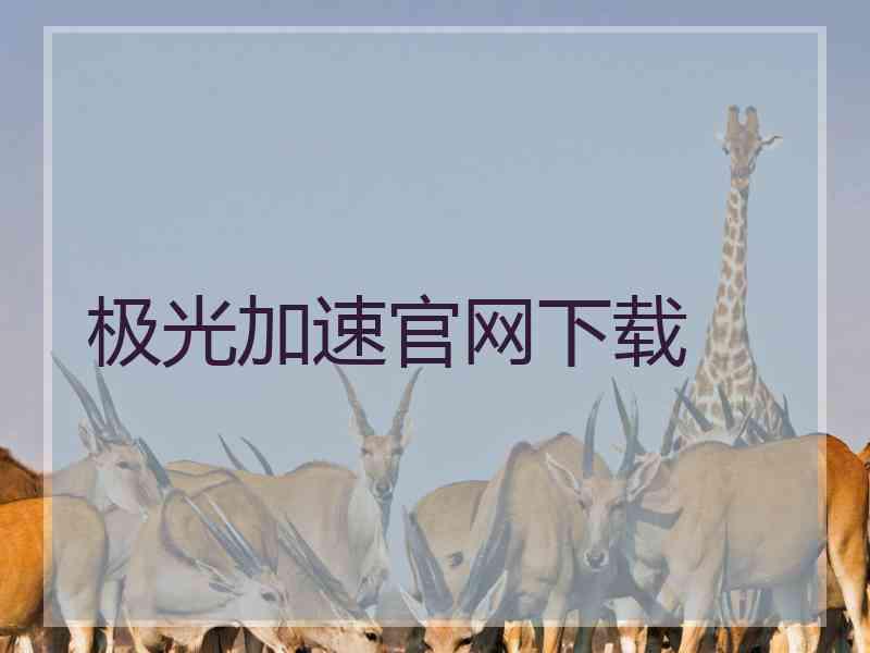 极光加速官网下载
