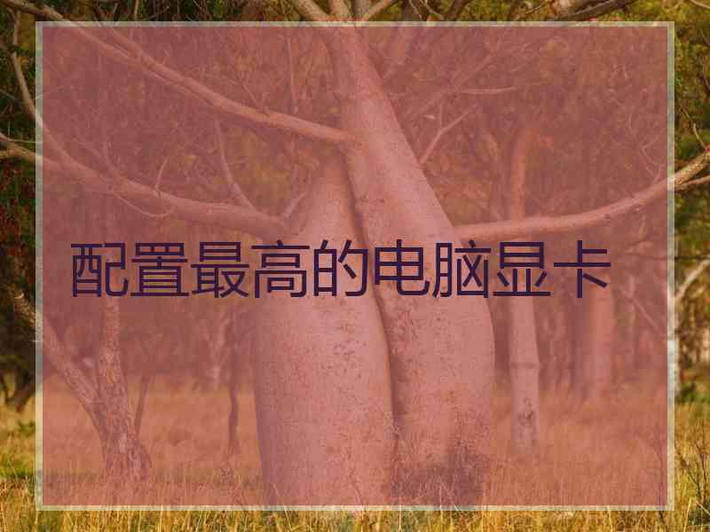 配置最高的电脑显卡