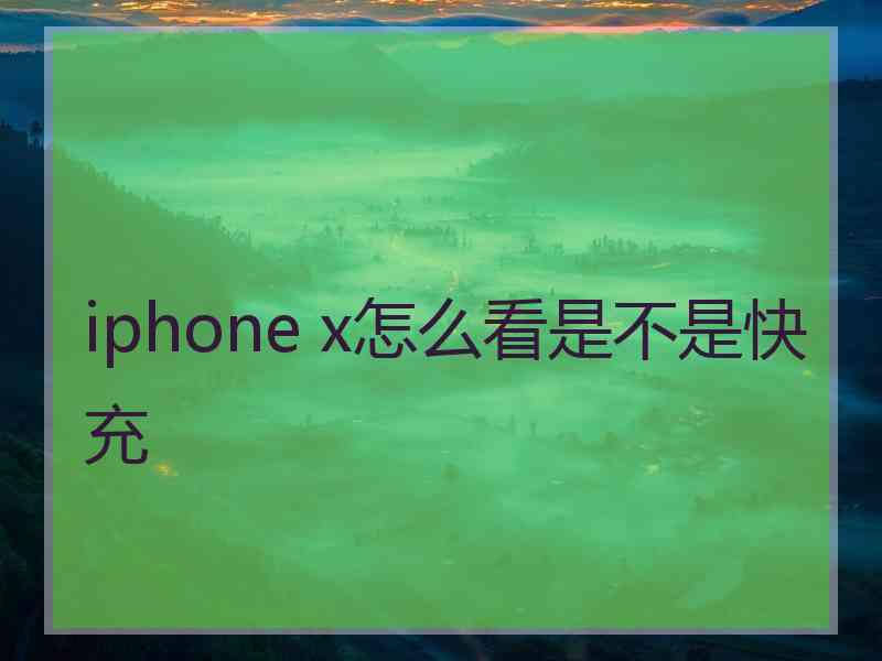iphone x怎么看是不是快充