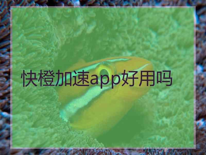 快橙加速app好用吗