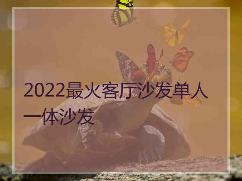 2022最火客厅沙发单人一体沙发