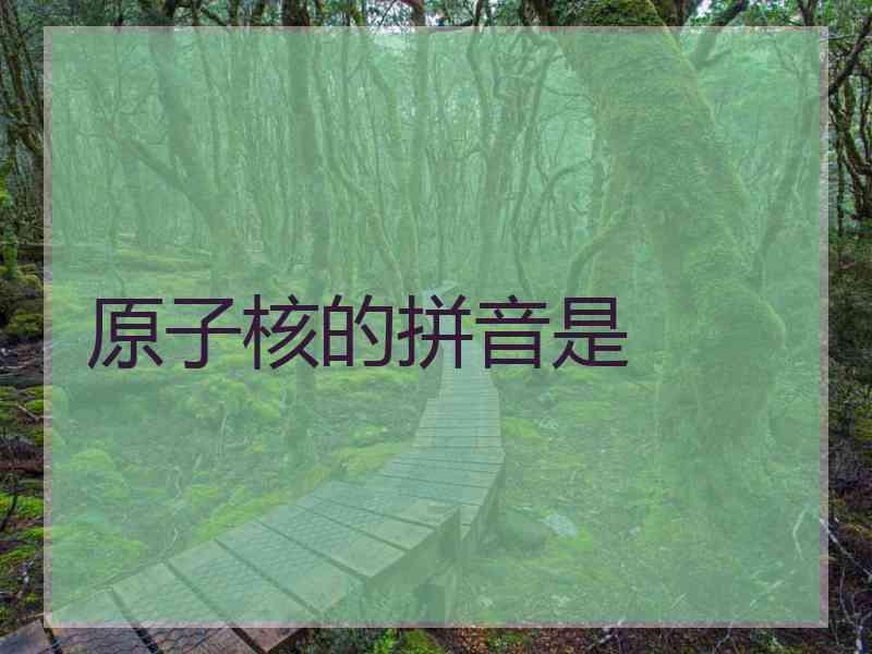 原子核的拼音是