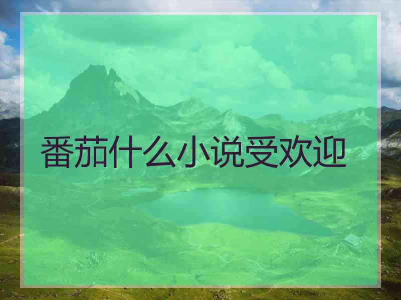 番茄什么小说受欢迎