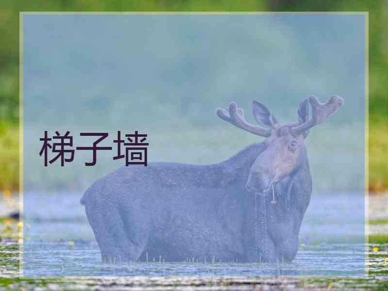 梯子墙