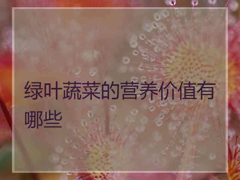 绿叶蔬菜的营养价值有哪些