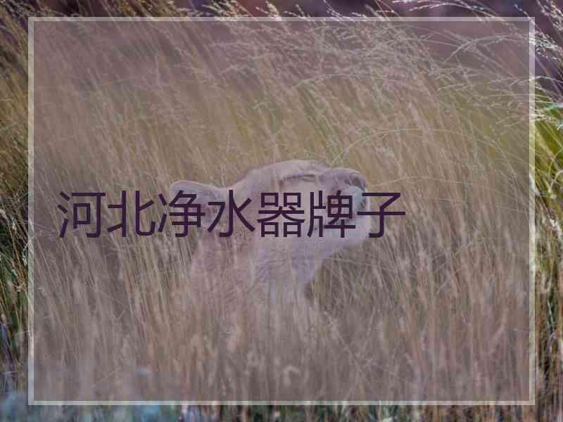 河北净水器牌子