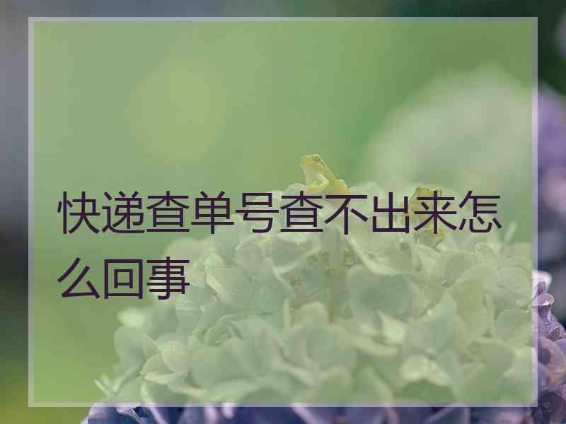 快递查单号查不出来怎么回事