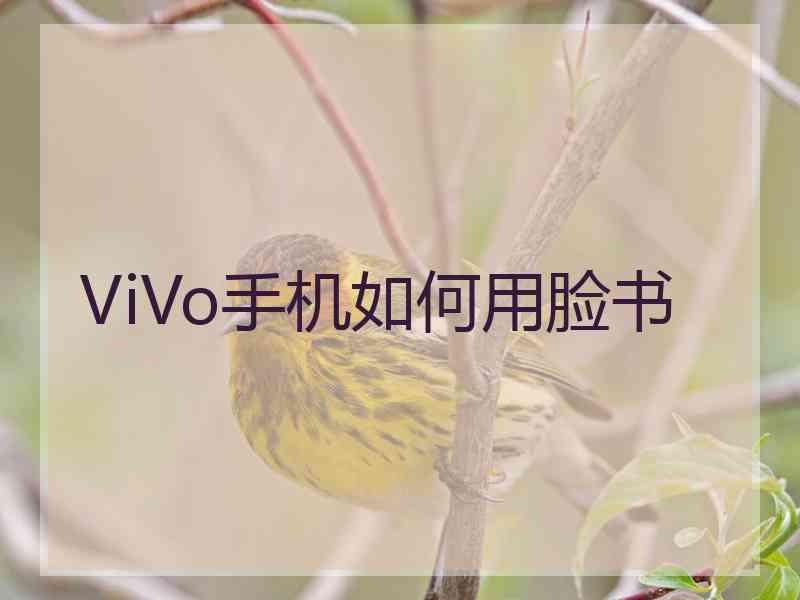 ViVo手机如何用脸书