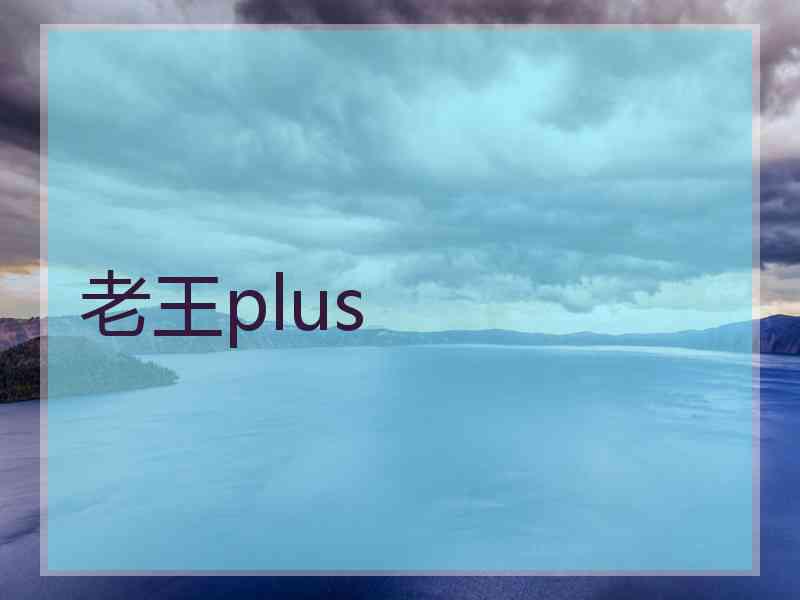 老王plus