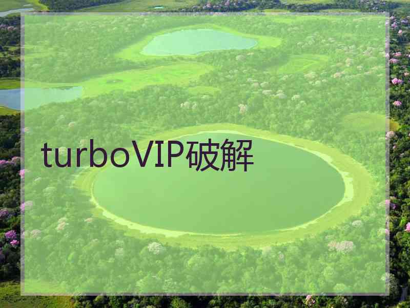 turboVIP破解