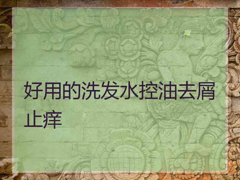 好用的洗发水控油去屑止痒