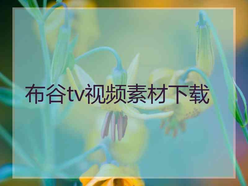 布谷tv视频素材下载
