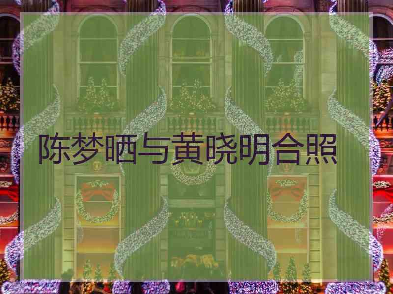 陈梦晒与黄晓明合照
