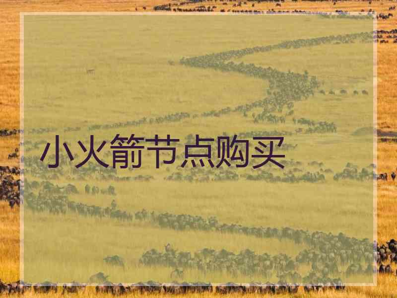 小火箭节点购买