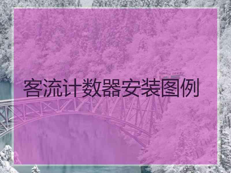 客流计数器安装图例