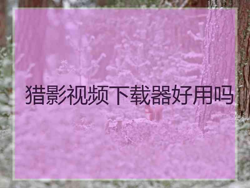 猎影视频下载器好用吗