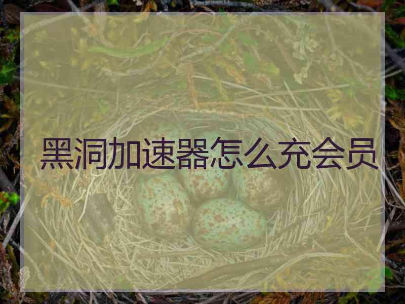 黑洞加速器怎么充会员