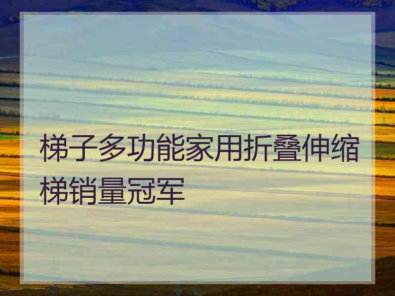 梯子多功能家用折叠伸缩梯销量冠军