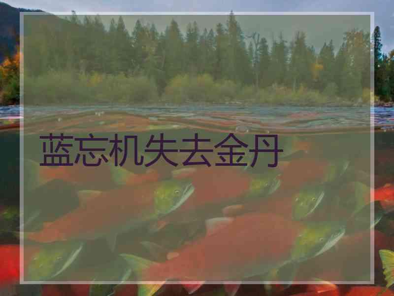 蓝忘机失去金丹