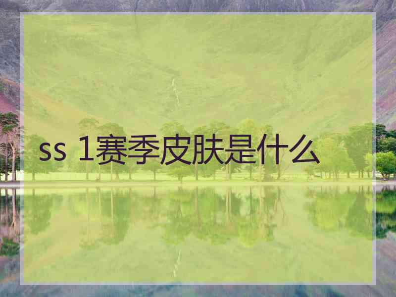 ss 1赛季皮肤是什么