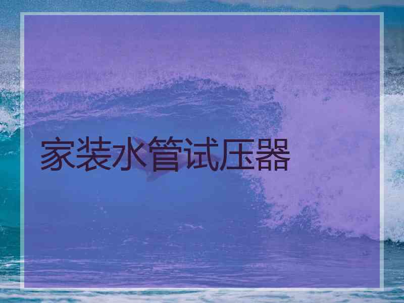 家装水管试压器