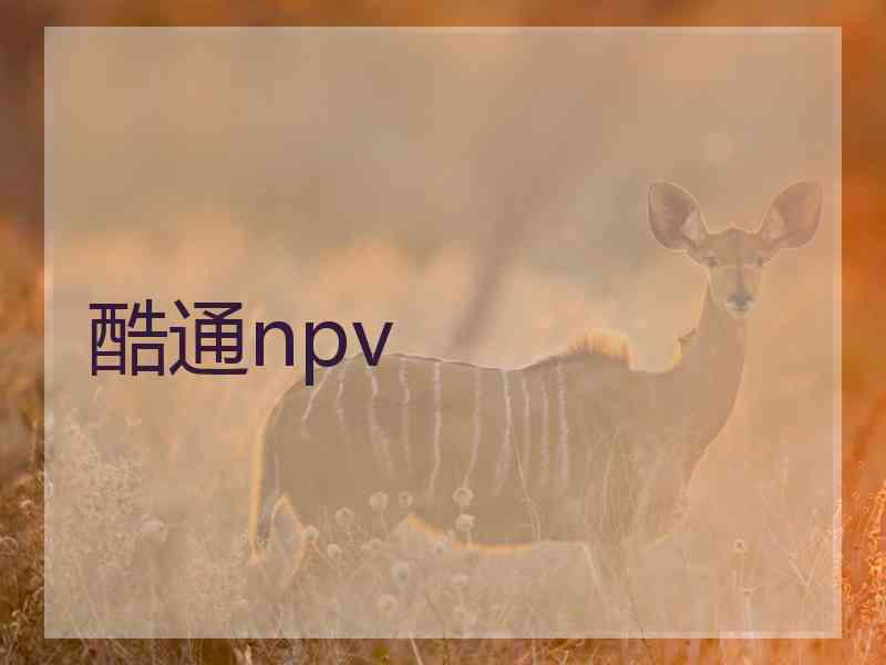 酷通npv