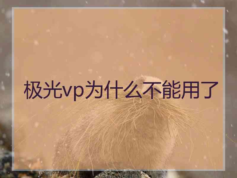 极光vp为什么不能用了