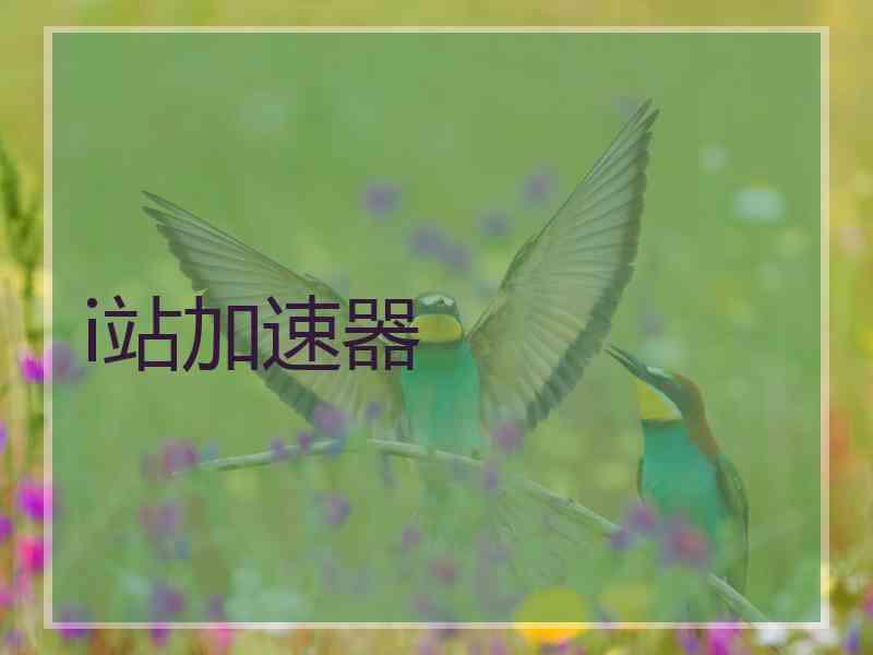 i站加速器
