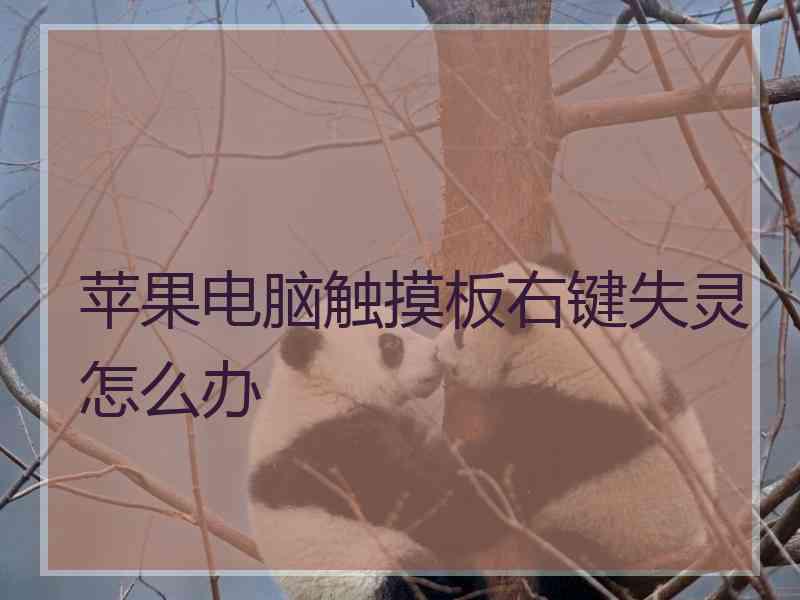 苹果电脑触摸板右键失灵怎么办