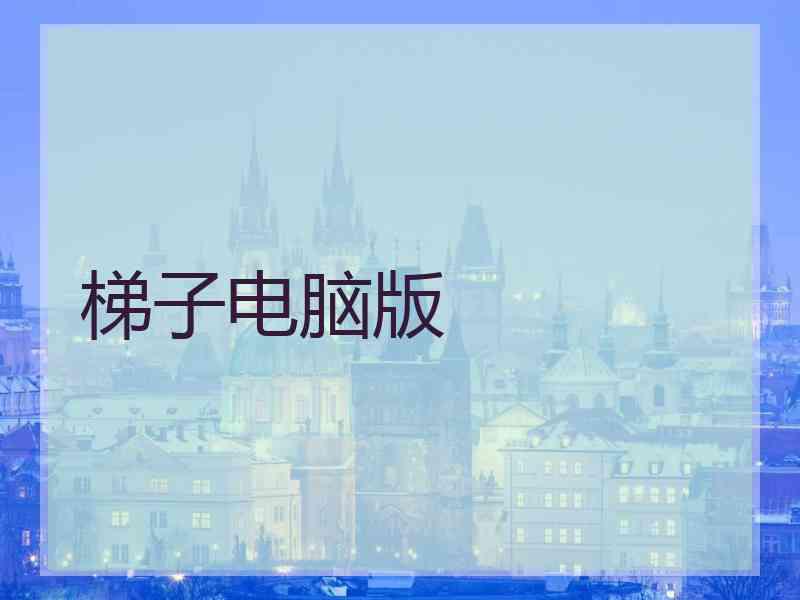 梯子电脑版